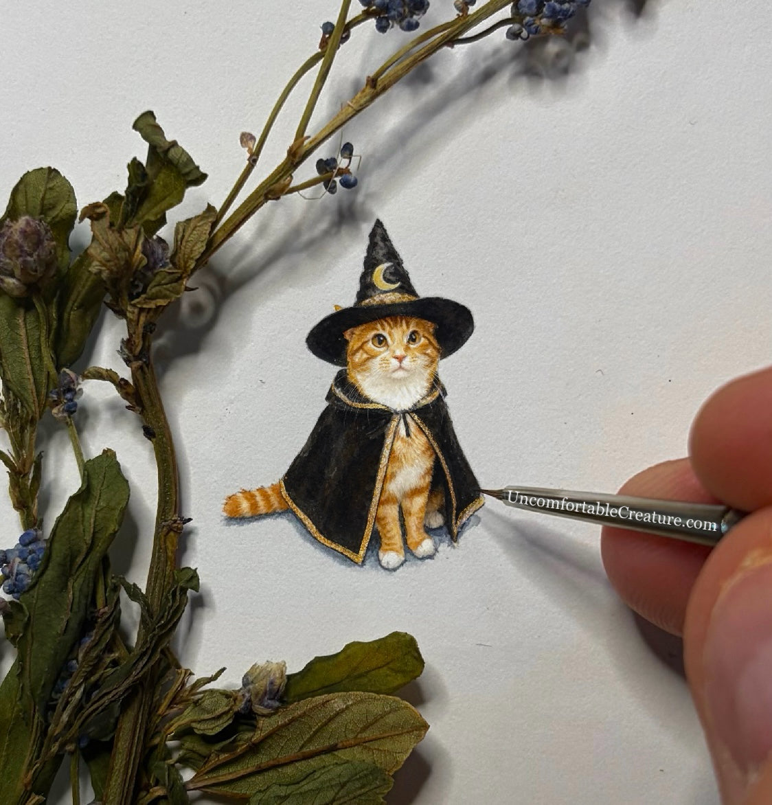 Alastair Marmalade, Keeper of Tiny Spells