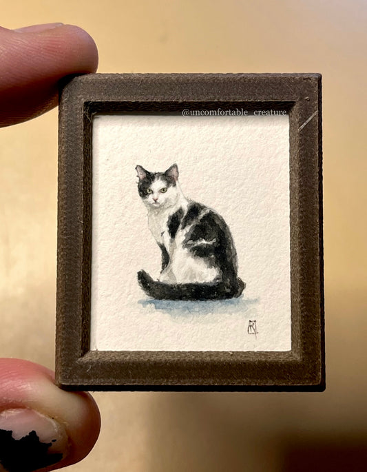 The Left Hand, The Right Cat