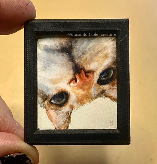 Top Down Curiosity – Fine Art Print