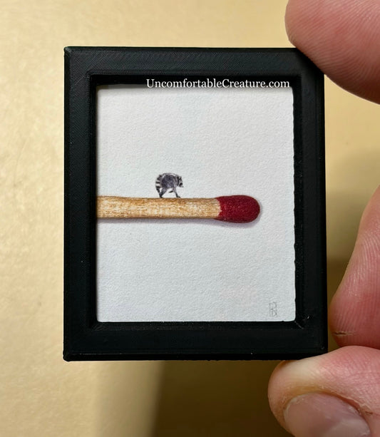 Jimothy the Raccoon — Fine Art Print