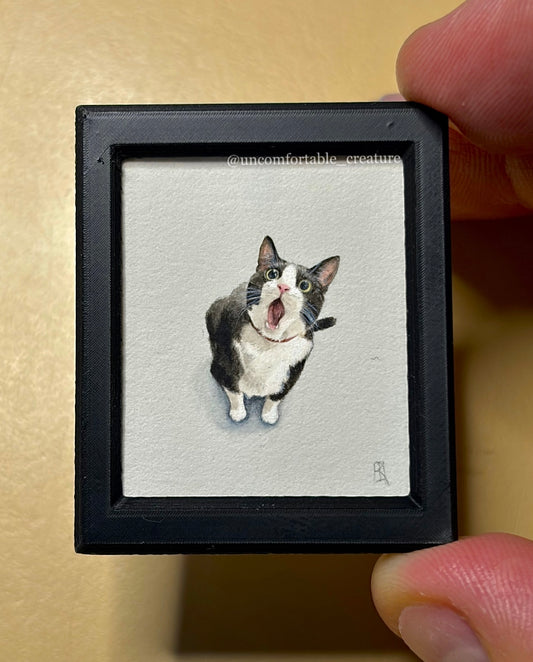 A Cat Called Chaplin